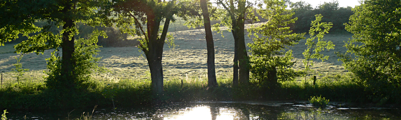 Paysage d'Alsace Bossue