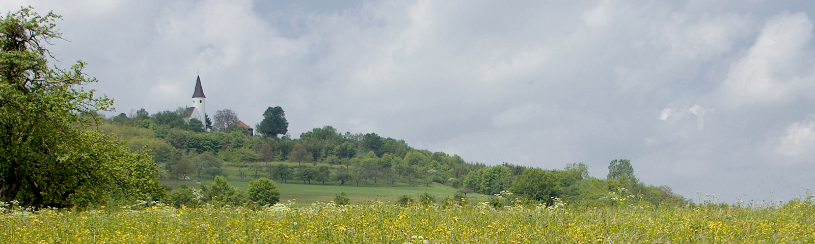 Vue du Kirchberg (Berg) en Alsace Bossue